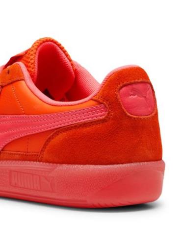 Sneakers laag 'Palermo Citrus'