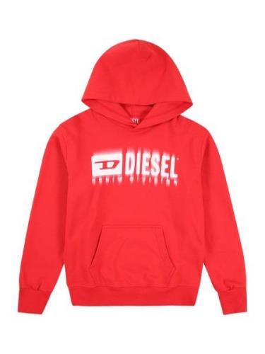 Sweatshirt 'SGINNHOODL5 OVER'