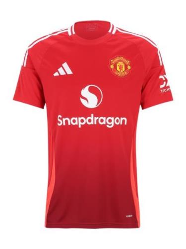 Tricot 'Manchester United 24/25'