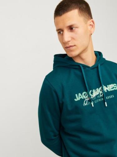 Sweatshirt 'JJALVIS'