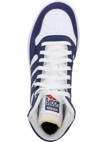 Sneakers hoog 'Hoops 3.0'