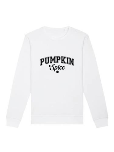 Sweatshirt 'Pumpkin spirce college'