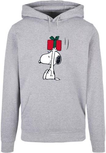 Sweat-shirt 'Peanuts Snoopys Present'