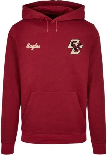 Sweat-shirt 'Boston College - BC Eagles'