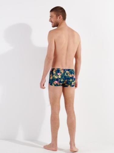 Shorts de bain ' Flamingo '