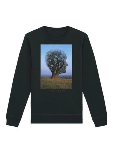 Sweat-shirt 'Pink Floyd Tree Head'