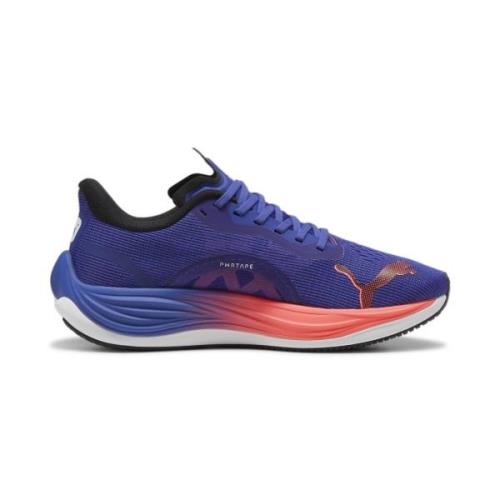 Chaussure de course 'Velocity NITRO™ 3'