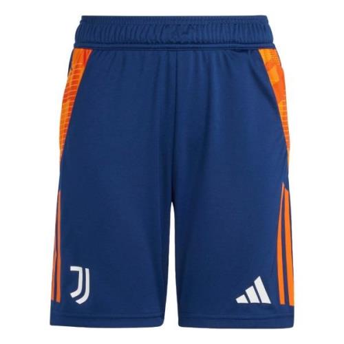 Pantalon de sport 'Juventus Tiro 24'