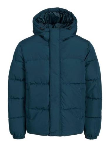 Veste d’hiver 'BRADLEY'