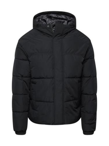 Veste d’hiver 'JJEBRADLEY'