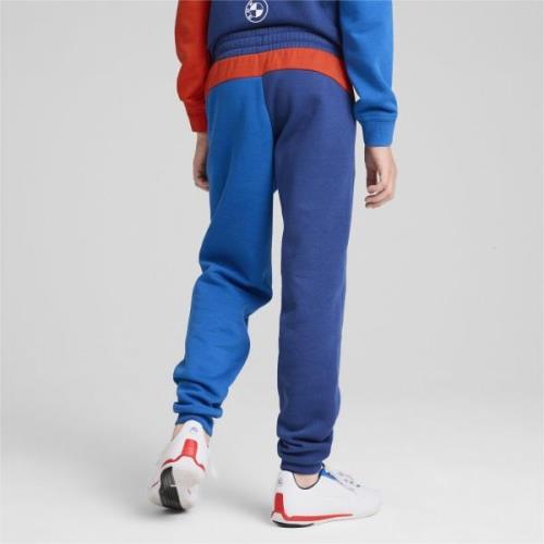 Pantalon de sport 'BMW M Motorsport ESS+ '