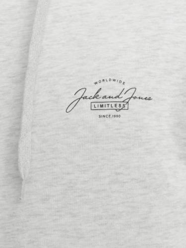 Sweat-shirt 'JJFERRIS'