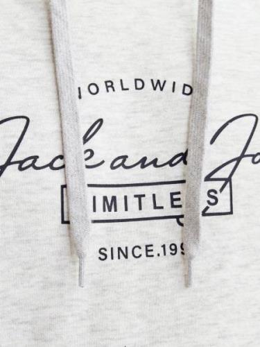 Sweat-shirt 'JJFerris'