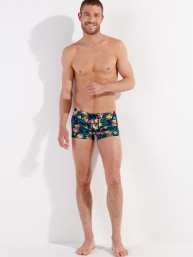 Shorts de bain ' Flamingo '