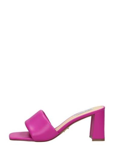 Steve Madden - Lovebird