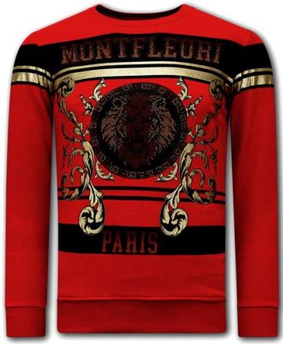 Montfleuri Sweater met print leeuw strass