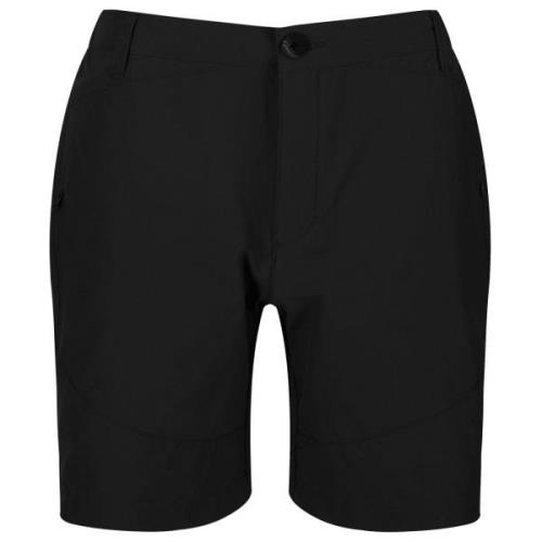 Regatta Heren highton mid shorts