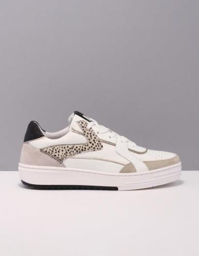 Maruti ! sneakers/lage-sneakers dames