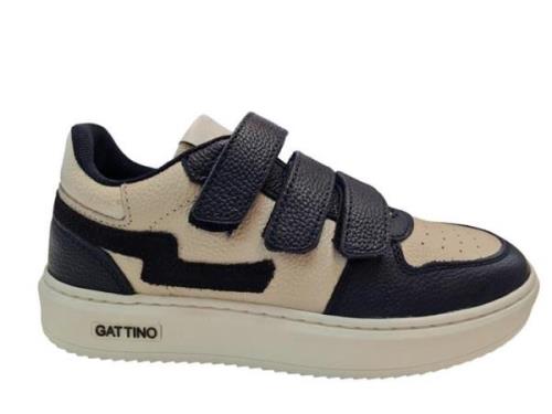 Gattino G1016