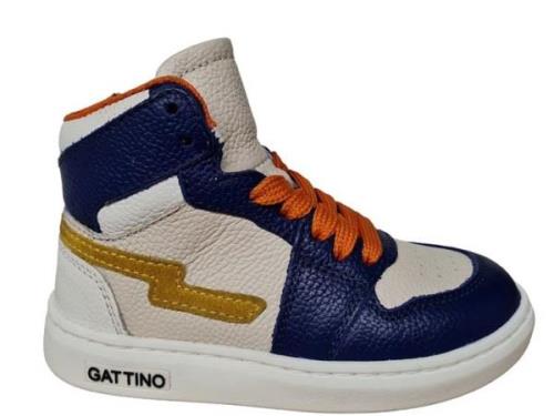 Gattino Y1665