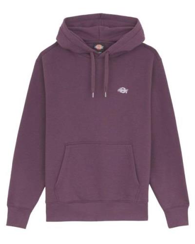 Dickies Hoodie dk0a4y6pj561