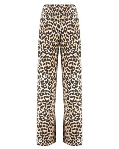 Harper & Yve Broek aw24p100 lexie