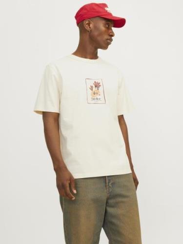 Jack & Jones Jorbrooklyn graphic tee ss c.n ln