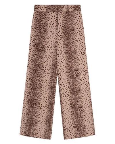 Refined Department Broek r2407159442