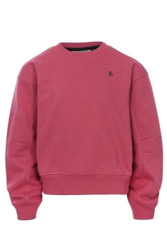 Looxs Revolution Meisjes sweater mauve