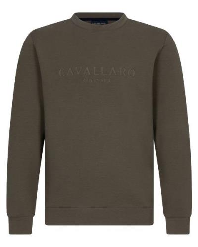 Cavallaro Sweatshirt 120245002