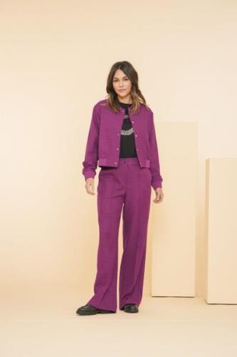 Geisha pants 41921-60 380 purple